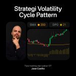 Strategy Volatlity Cycle Pattern